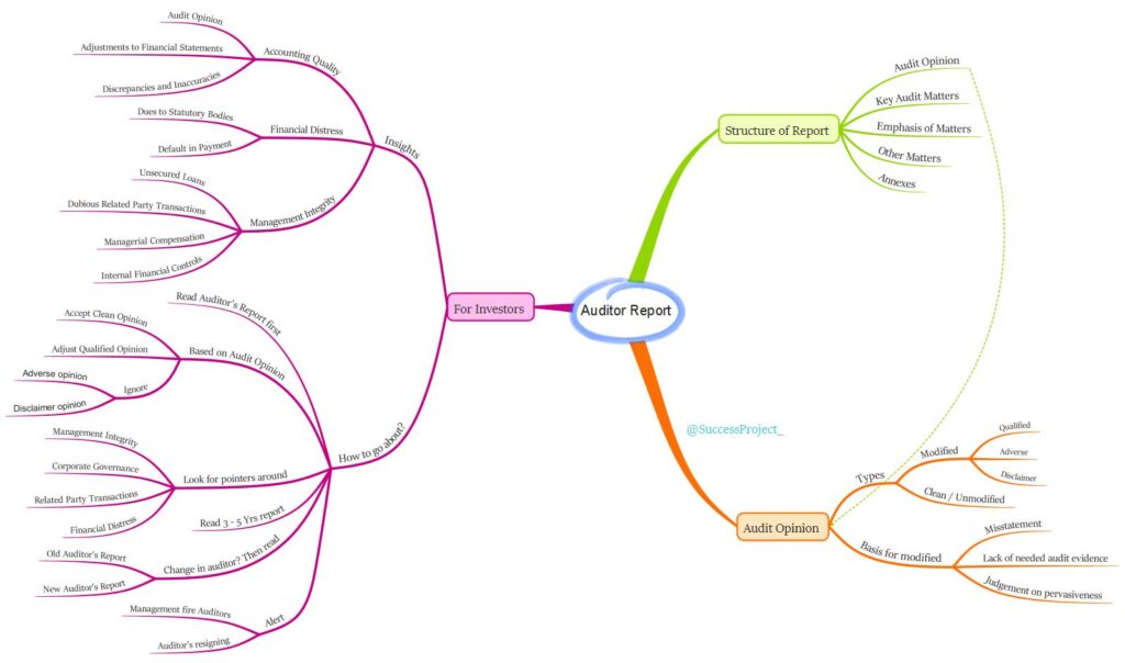Mind Map of Auditor Report