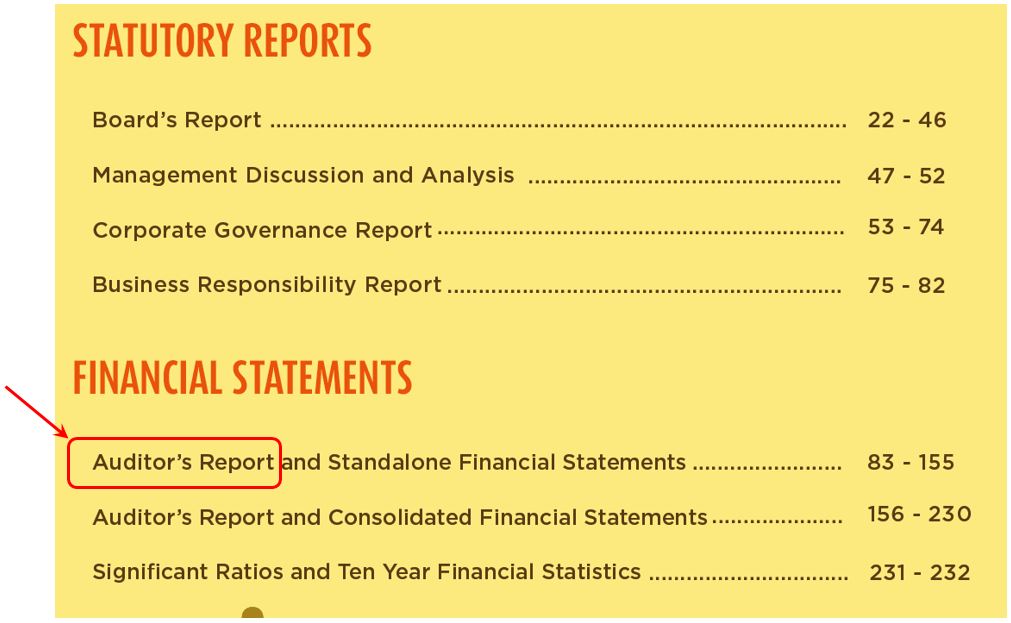 Auditor's Report