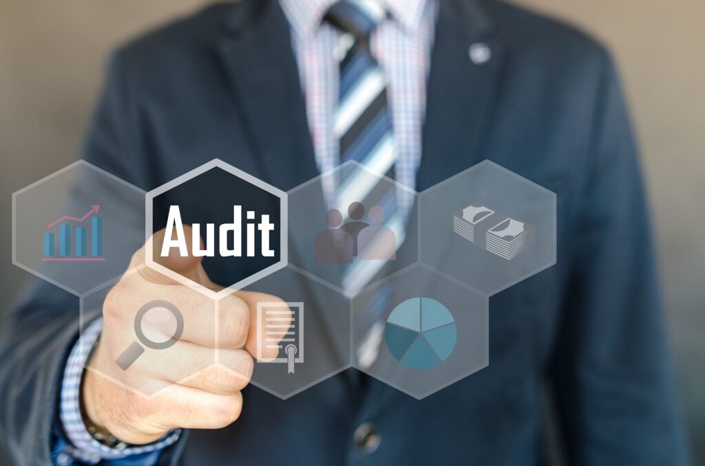 Insights from Auditor's Report