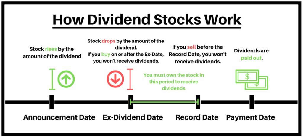 Dividends