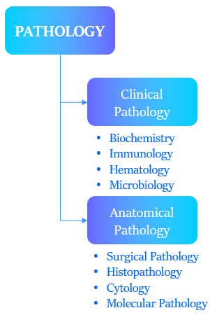 Pathology