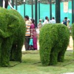 Lalbagh Garden